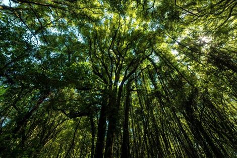 Photo of property in 805 Te Waerenga Road, Hamurana, Rotorua, 3096