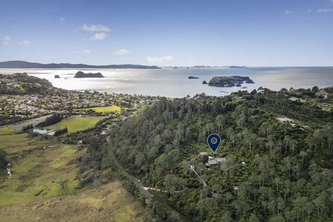 Photo of property in 63 Orchard Road, Hahei, Whitianga, 3591