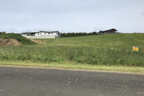 Photo of property in 17 Larlin Drive, Hawera, 4675