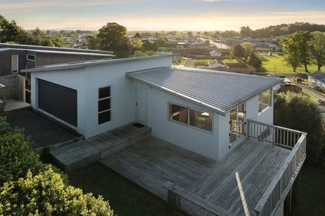 Photo of property in 15 Ohinemuri Place, Paeroa, 3600
