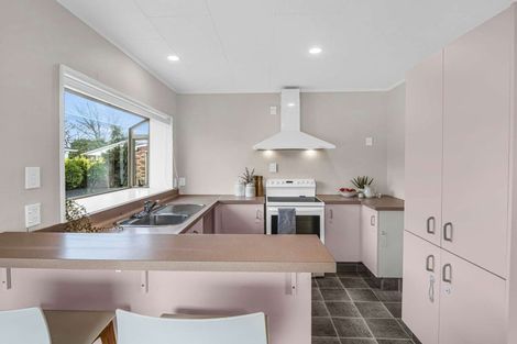 Photo of property in 53 Treadwell Street, Springvale, Whanganui, 4501