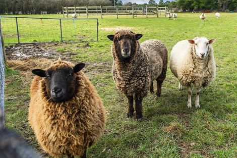 Photo of property in 3038 Oxford Road, Oxford, 7430