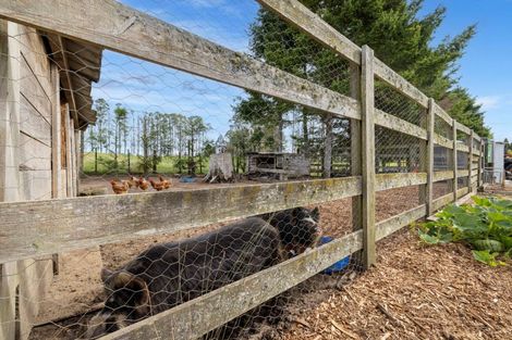 Photo of property in 1442 Pyes Pa Road, Oropi, Tauranga, 3173