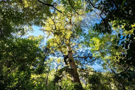 Photo of property in 288 Matiri Valley Road, Matiri, Murchison, 7077