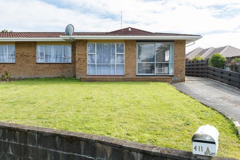 Photo of property in 411a Ruahine Street, Terrace End, Palmerston North, 4410