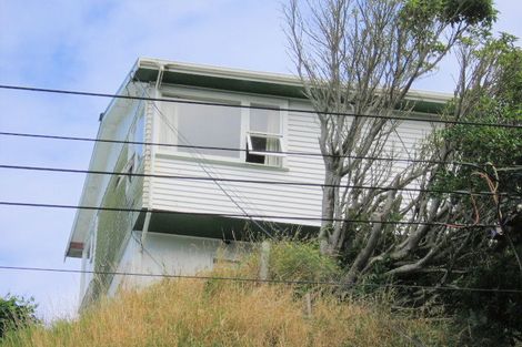 Photo of property in 56 Liardet Street, Vogeltown, Wellington, 6021