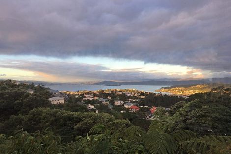 Photo of property in 44 Highbury Road, Highbury, Wellington, 6012