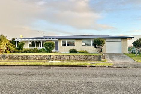 Photo of property in 48 Kennedy Drive, Levin, 5510