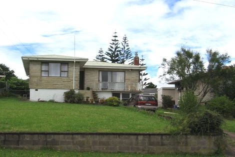 Photo of property in 50 Webster Avenue, Mount Roskill, Auckland, 1041