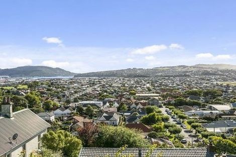 Photo of property in 32 Motu Street, Saint Clair, Dunedin, 9012