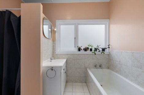 Photo of property in 117 Derwent Street, Island Bay, Wellington, 6023