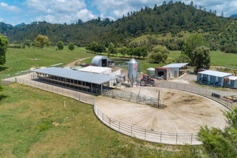 Photo of property in 57 Hall Road, Matua, Tauranga, 3110