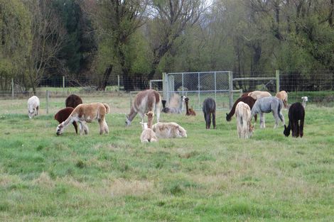 Photo of property in 18 Nixons Road, Fairlie, 7987