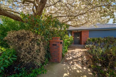 Photo of property in 2 Hannah Place, Holmes Hill, Oamaru, 9401