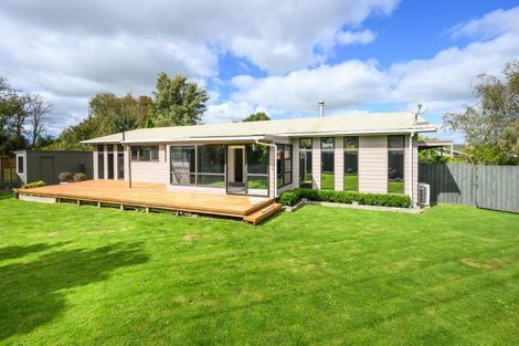 Photo of property in 8 Dalzien Place, Feilding, 4702