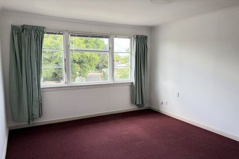 Photo of property in 539-541 Featherston Street, Roslyn, Palmerston North, 4414