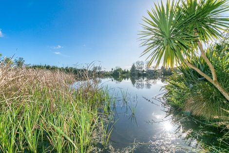 Photo of property in 28a Walsh Street, Forest Lake, Hamilton, 3200