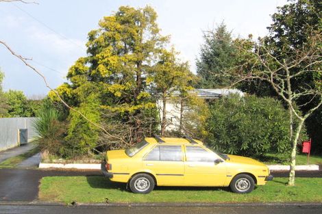 Photo of property in 20 Jeanette Street, Glenview, Hamilton, 3206