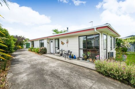Photo of property in 23 Mountfort Grove, Feilding, 4702