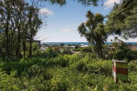 Photo of property in 40 Douglas Street, Okitu, Gisborne, 4010