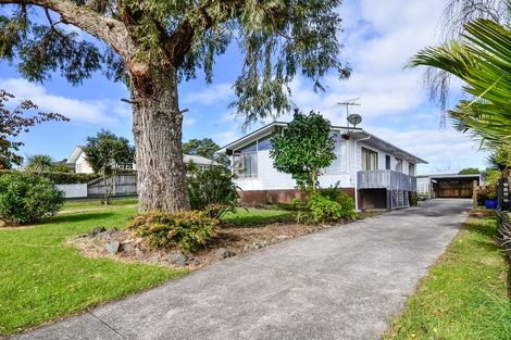 Photo of property in 8 Newland Grove, Henderson, Auckland, 0610