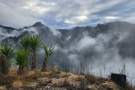 Photo of property in 990 Motueka River West Bank Road, Motueka Valley, Motueka, 7196