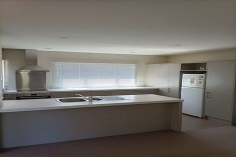 Photo of property in 1c Moule Street, Addington, Christchurch, 8024