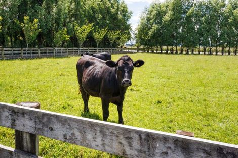 Photo of property in 61 Mount Stewart Halcombe Road, Sanson, Palmerston North, 4479