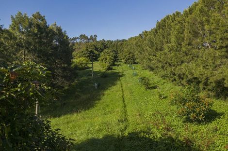 Photo of property in 89 Purangi Road, Purangi, Whitianga, 3591