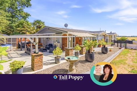 Photo of property in 46b Edward Street, Pahiatua, 4910