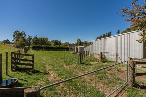 Photo of property in 202 Whangamata Road, Kinloch, Taupo, 3377