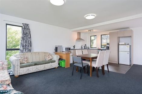 Photo of property in 13b Lichfield Grove, Bethlehem, Tauranga, 3110