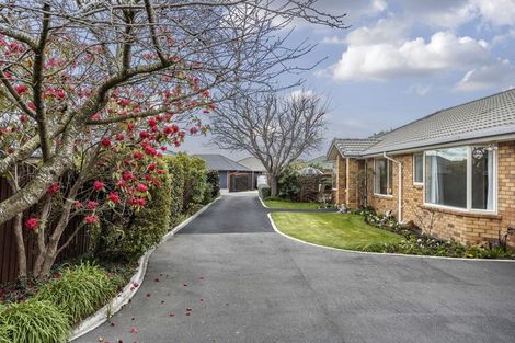 Photo of property in 29 Bella Rosa Drive, Hei Hei, Christchurch, 8042