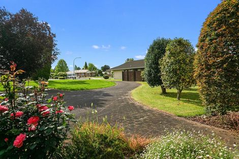 Photo of property in 12 Conrad Place, Leamington, Cambridge, 3432