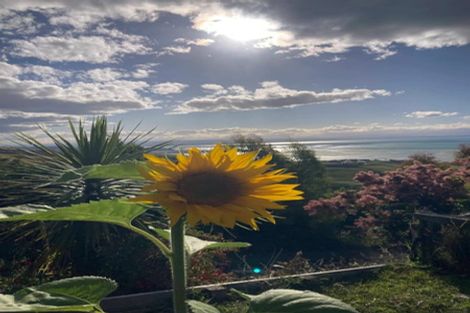 Photo of property in 141 Dodson Valley Road, Atawhai, Nelson, 7010