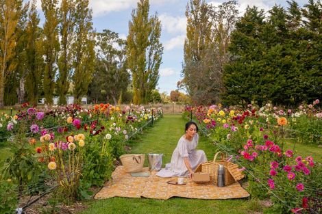 Photo of property in 58 Moroa Road, Tauwharenikau, Featherston, 5771