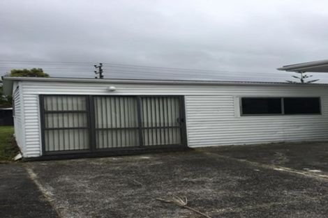 Photo of property in 17 Hindmarsh Street, Henderson, Auckland, 0612