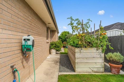 Photo of property in 7 Millar Street, Te Aroha, 3320