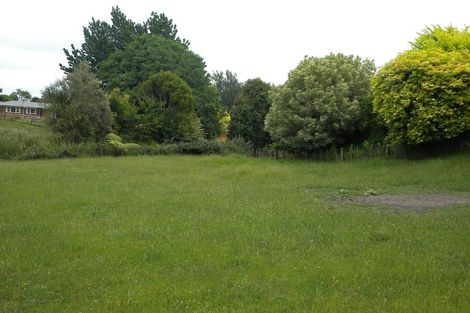 Photo of property in 29 Herbert Street, Kihikihi, Te Awamutu, 3800