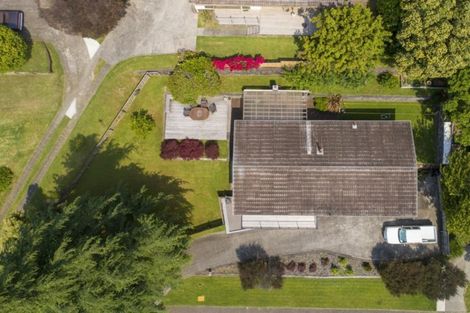 Photo of property in 53 Seymour Place, Bellevue, Tauranga, 3110