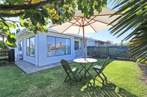 Photo of property in 1/800 Miller Street, Hastings, 4122