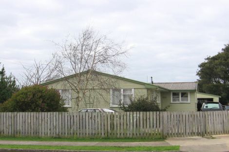 Photo of property in 17 Forth Street, Levin, 5510