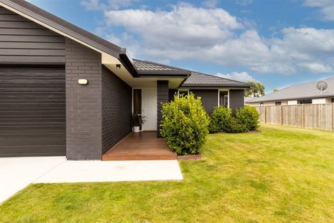 Photo of property in 40 Grigg Drive, Witherlea, Blenheim, 7201