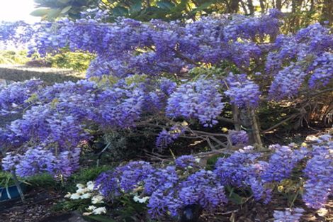 Photo of property in 600 Ponga Road, Opaheke, Papakura, 2584