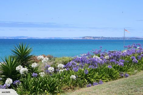 Photo of property in 124 North Shore Road, Eskdale, Napier, 4182