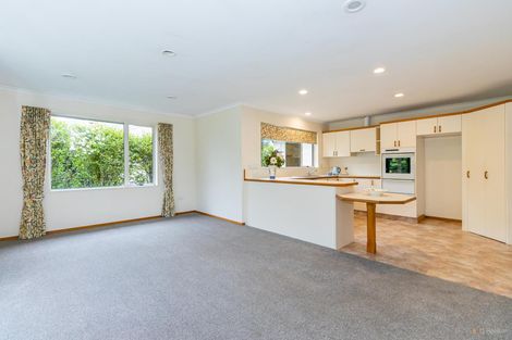 Photo of property in 39a Mckenzie Street, Geraldine, 7930