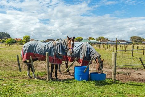 Photo of property in 14 Foxton Beach Road, Foxton, 4891