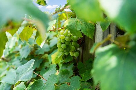 Photo of property in 37 Clotworthy Crescent, Onerahi, Whangarei, 0110