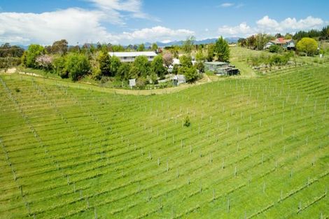 Photo of property in 171 Carlyon Road, Mahana, Upper Moutere, 7173
