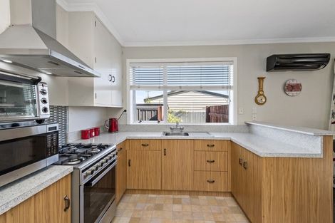 Photo of property in 19 Manchester Street, Tinwald, Ashburton, 7700